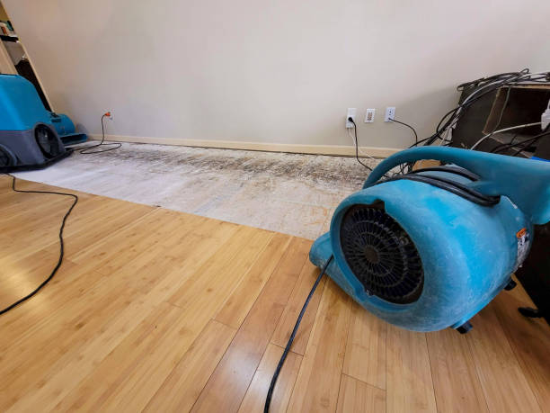 Professional Structural Drying technician working in Braddock, VA